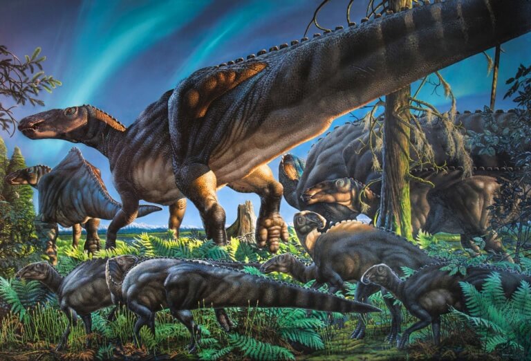 New Dinosaur Discovery Ugrunaaluk kuukpikensis or, “Ancient Grazer