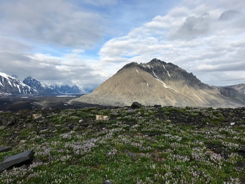 36243402360_9da48eea86_k