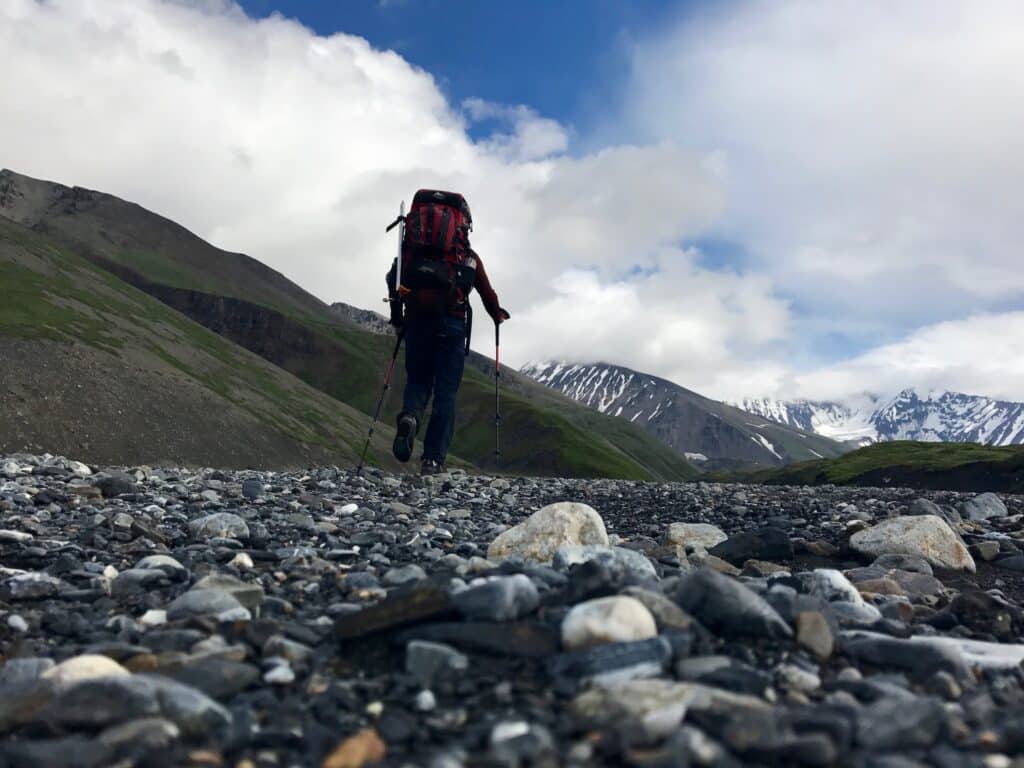 36470742902_43c46bb55d_k