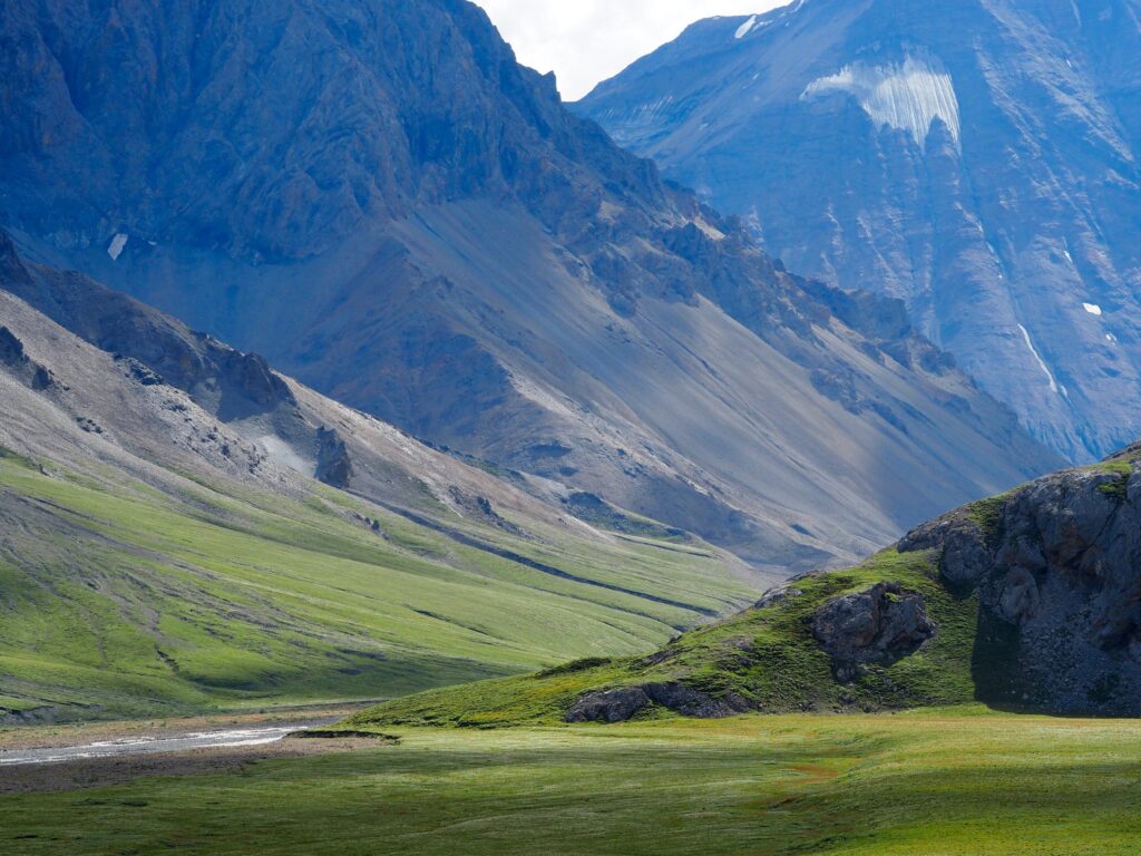 36593432966_f0a558a9d5_k