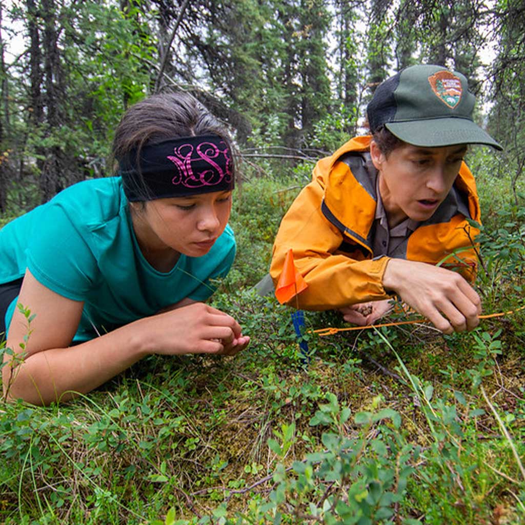 Staff Training Feedback