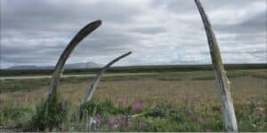 Iglauyumaaq: Arctic Travelers