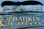 babkin-charters
