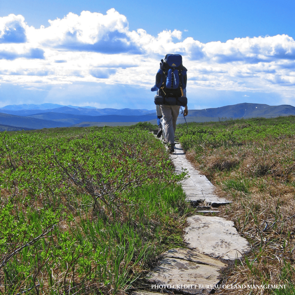 Pinnell Mountain Backpacking & Stewardship