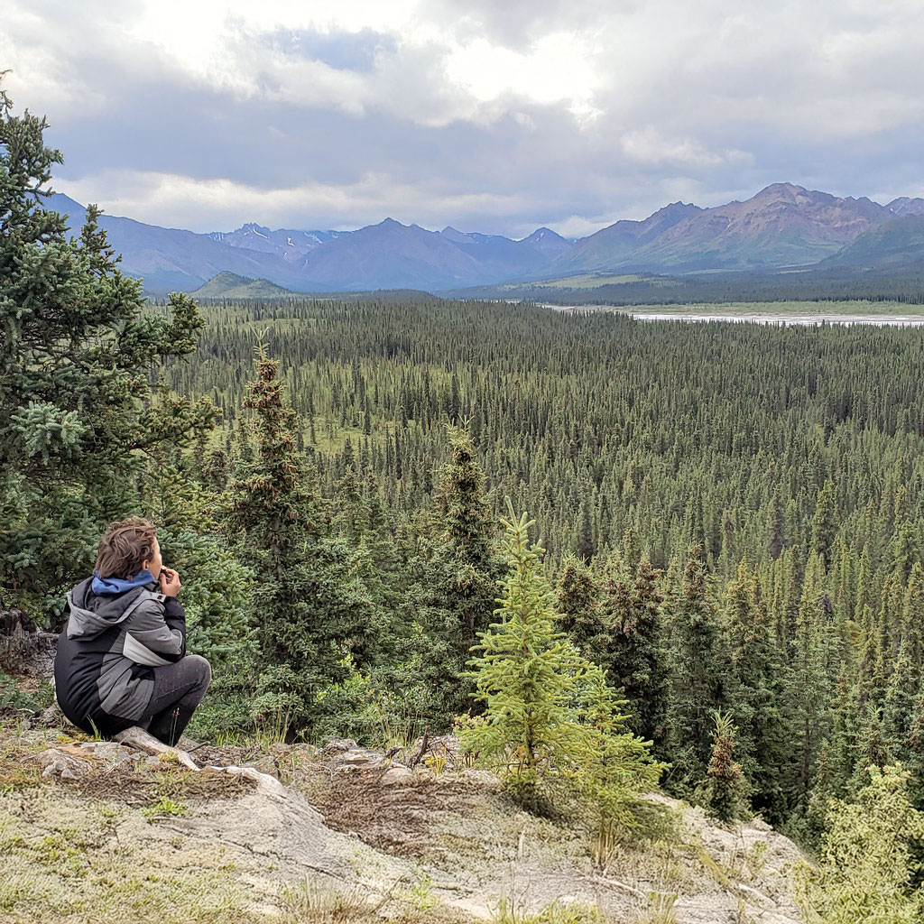 Self-guided Activities